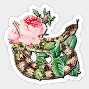 Vintage Rattlesnake and Pink Roses Sticker